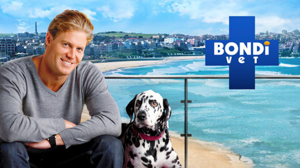 Bondi Vet Canceled Nine Network Series Not Returning for Season 9