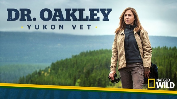 Dr. Oakley, Yukon Vet Season 12 The release date Sep 09, 2023 on Nat Geo Wild