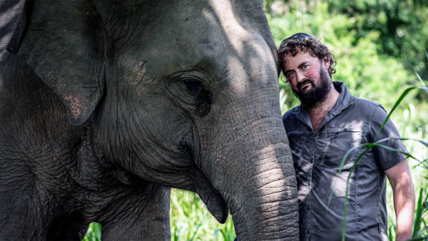 Elephant Hospital Season 3 is yet to be announced by Channel 5