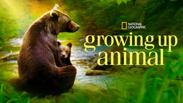 Growing Up Animal Season 2 is yet to be announced by Disney+