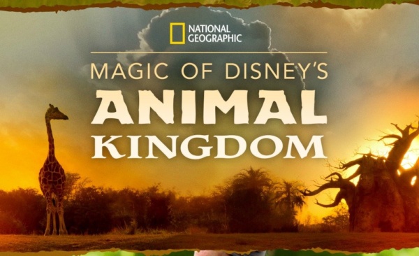 Magic of Disney’s Animal Kingdom Season 3 is yet to be announced by Disney+