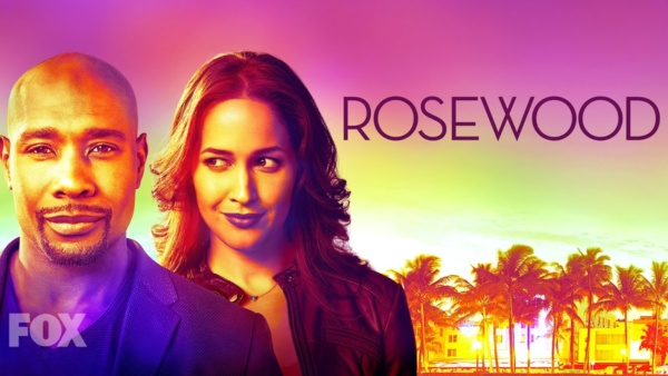 Rosewood Canceled FOX Series Not Returning for Season 3