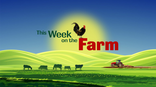 This Week on the Farm Season 4 is yet to be announced by Channel 5